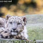 Cathrine Herzog Profile Picture