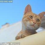 Vicky Swift Profile Picture