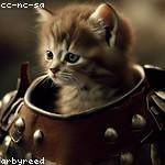 Daron Harber Profile Picture