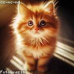 Octavia Schneider Profile Picture