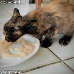 Deion Johnson Profile Picture