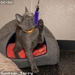 Chloe Rice Profile Picture