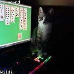 Stefan Kunze Profile Picture